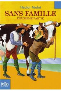 Sans famille 2