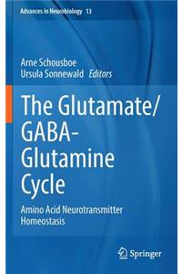 Glutamate/Gaba-Glutamine Cycle