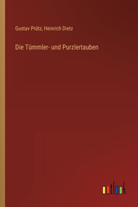 Tümmler- und Purzlertauben