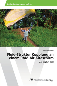 Fluid-Struktur Kopplung an einem RAM-Air-Kiteschirm