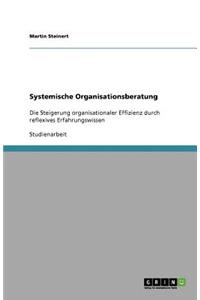 Systemische Organisationsberatung