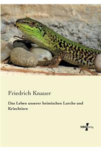 Das Leben unserer heimischen Lurche und Kriechtiere