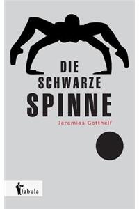 schwarze Spinne