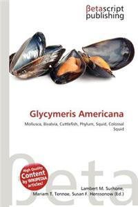 Glycymeris Americana