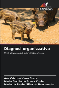Diagnosi organizzativa