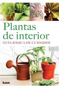 Plantas de Interior