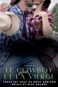 Le Cowboy et la Vierge