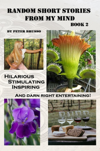 Random Short Stories from my mind... book 2