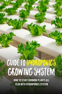 Guide To Hydroponics Growing System
