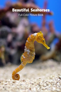 Beautiful Seahorses Full-Color Picture Book