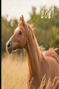 2021