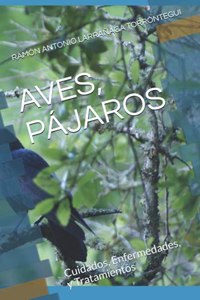 Aves, Pájaros