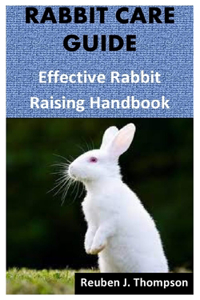 Rabbit Care Guide