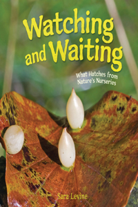 Watching and Waiting