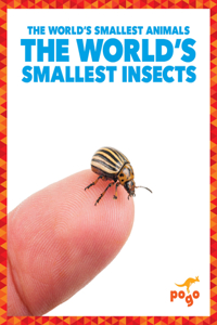 World's Smallest Insects