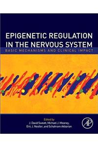 Epigenetic Regulation in the Nervous System