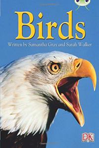 BC NF Grey B/4C Birds