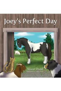 Joey's Perfect Day
