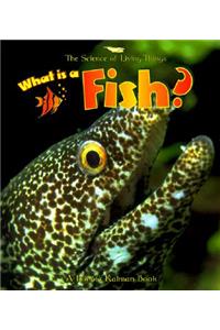 What Is a Fish?