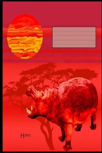 Hippo