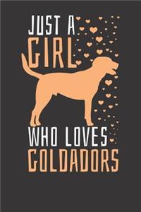 Goldador Notebook