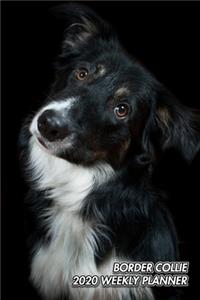 Border Collie 2020 Weekly Planner