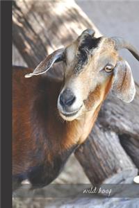 wild hoof