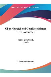 Uber Abweichend Gebildete Blatter Der Rotbuche
