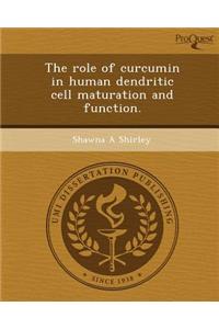 The Role of Curcumin in Human Dendritic Cell Maturation and Function