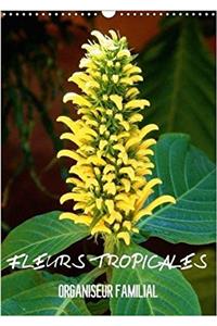 Fleurs Tropicales / Organiseur Familial 2018
