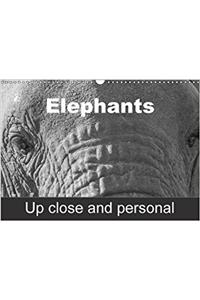 Elephants Up Close and Personal 2018