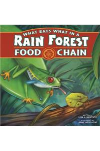 Food Chains What Eats What in a Rain Forest Food Chain