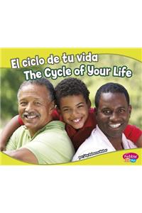 El Ciclo de Tu Vida/The Cycle of Your Life
