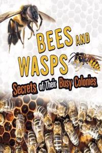 Bees and Wasps