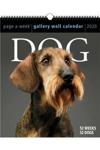 Dog Page-A-Week Gallery Wall Calendar 2020
