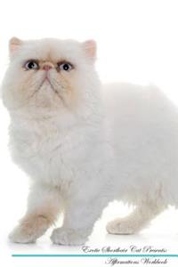 Exotic Shorthair Cat Affirmations Workbook Exotic Shorthair Cat Presents