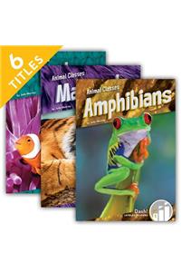 Animal Classes (Set)