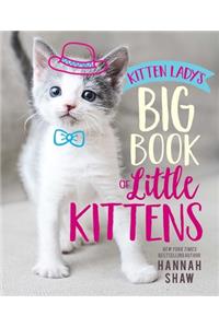Kitten Lady's Big Book of Little Kittens