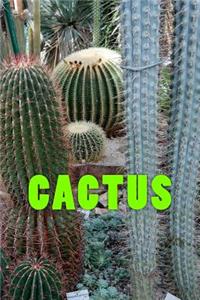 Cactus (Journal / Notebook)