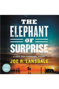 Elephant of Surprise