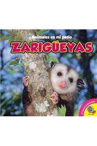 Zarigueyas, With Code