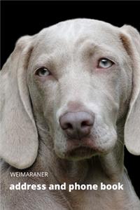 Address and Phone Book