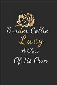 Border Collie Lucy A Class Of Its Own