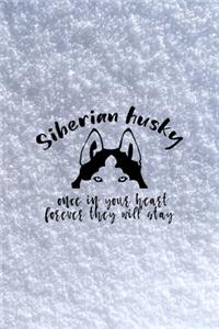 Siberian Husky Once In Your Heart Forever They Will Stay