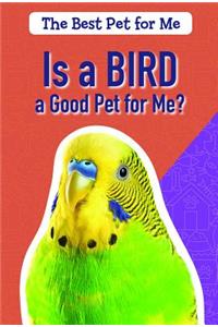 Is a Bird a Good Pet for Me?