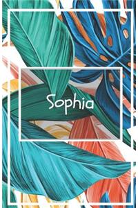 Sophia's Notebook