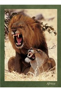 Lions Mating Journal