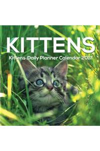 Kittens Daily Planner Calendar 2017