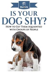 Is Your Dog Shy?