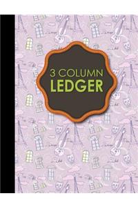 3 Column Ledger